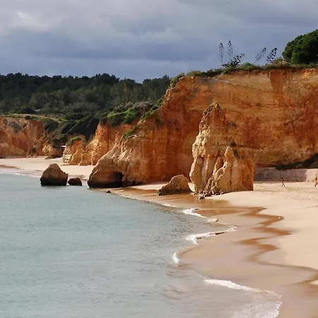 Oasis Park Condo, Pool & Jacuzzi, Free Parking *