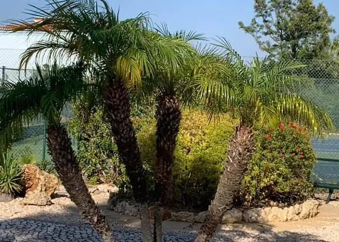 Oasis Park Condo, Pool & Jacuzzi, Free Parking *