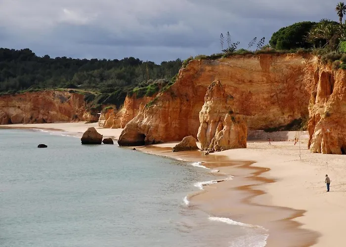 Oasis Park Condo, Pool & Jacuzzi, Free Parking *